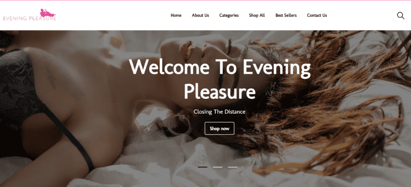 SEO Agency in Chandigarh | Case Study of Evening Pleasure